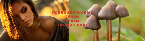 амфетамин Бородино