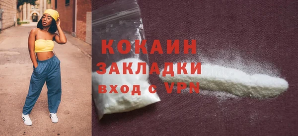твердый Богородицк
